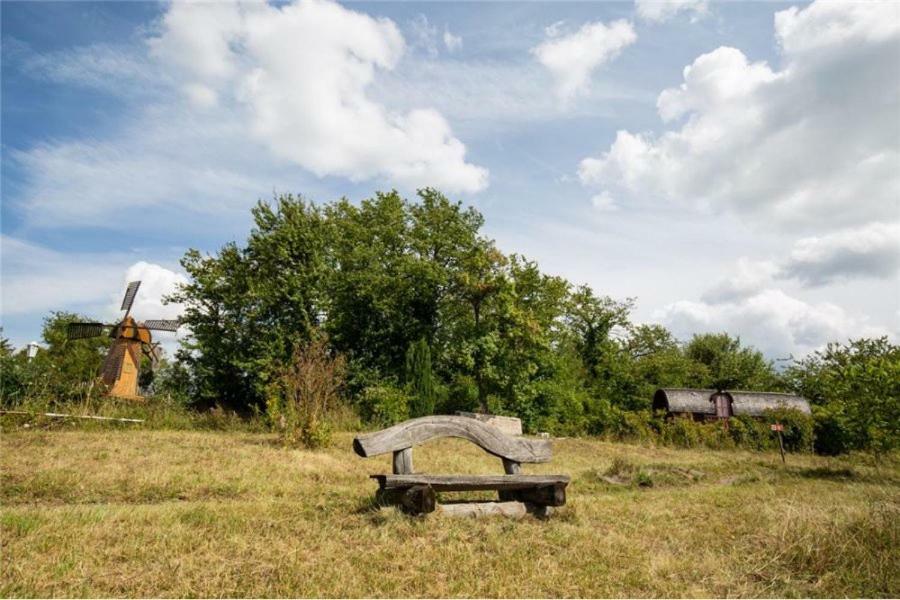 Le Chalet Du Chemin Et Sa Roulotte Berviller-en-Moselle Eksteriør bilde